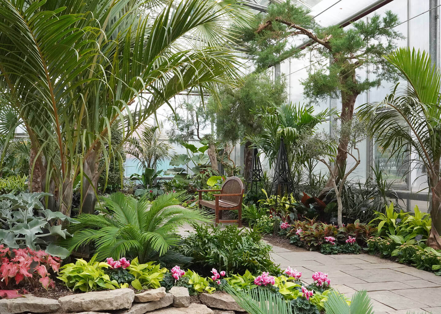 Neighbourhood Image 11